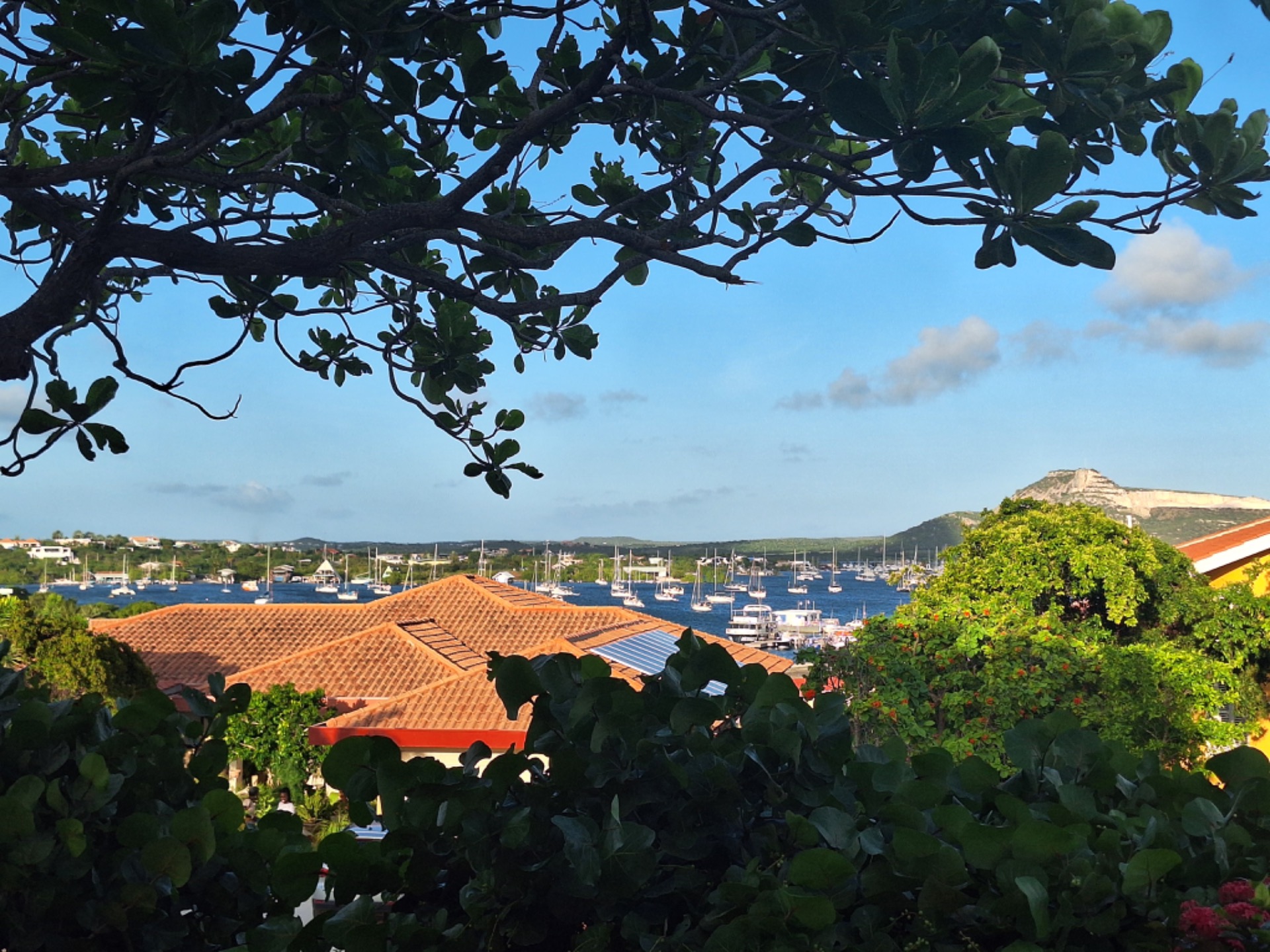 Privéfoto van Nick een baai op Çuracao